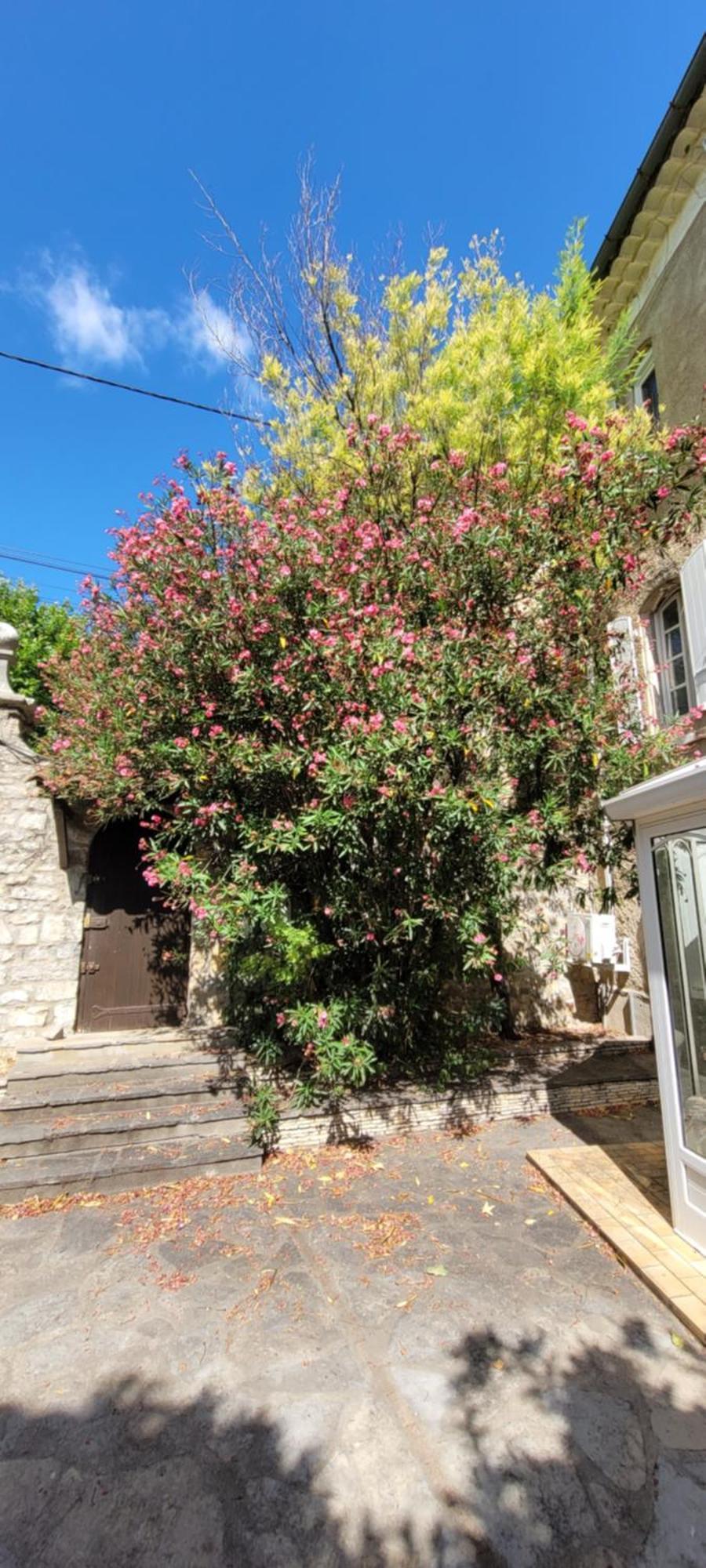 Le Domaine Du Soulier -Gite Et Chambres D'Hotes - La Maison Du Gardien Tornac Kültér fotó