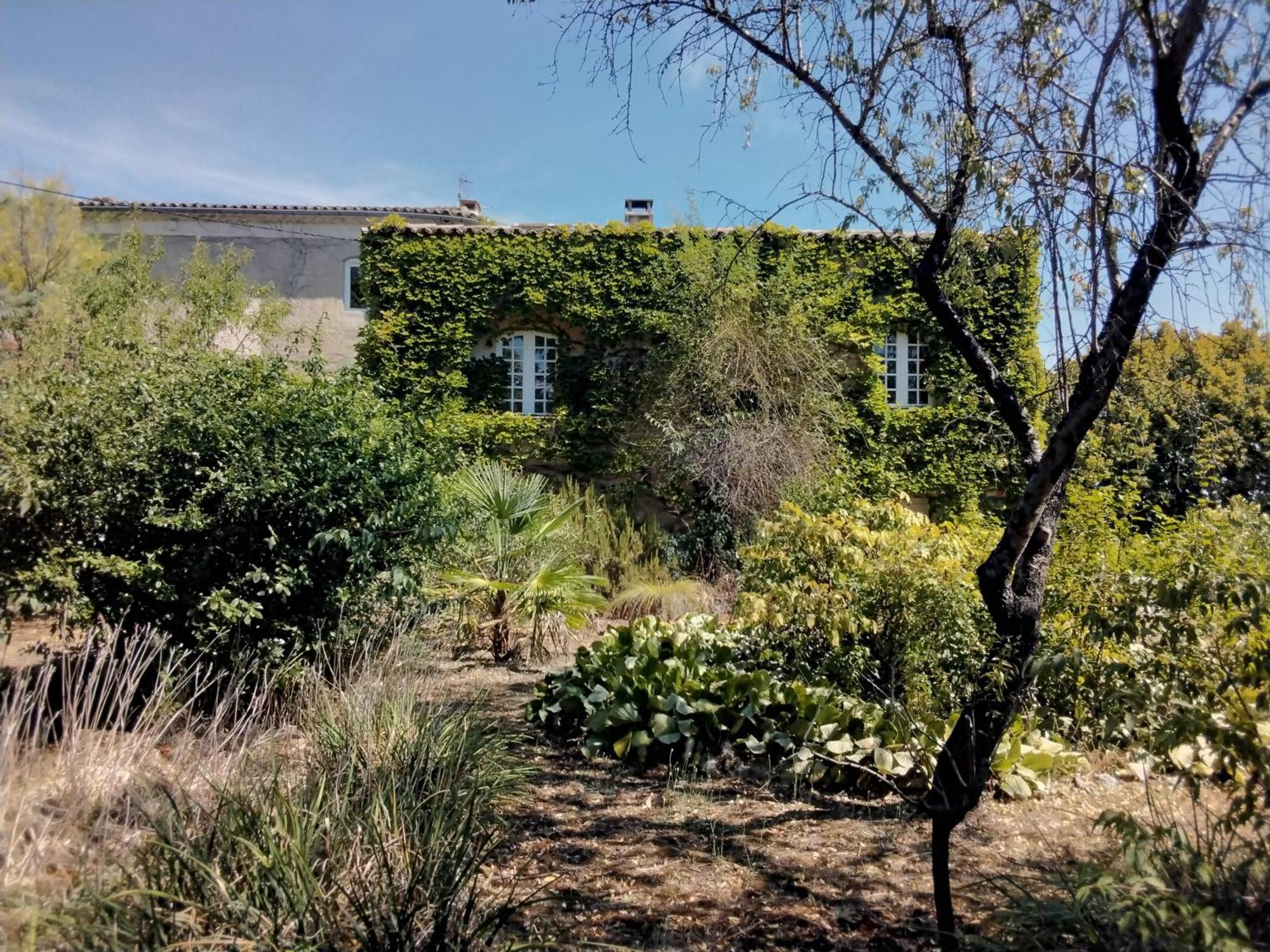 Le Domaine Du Soulier -Gite Et Chambres D'Hotes - La Maison Du Gardien Tornac Kültér fotó